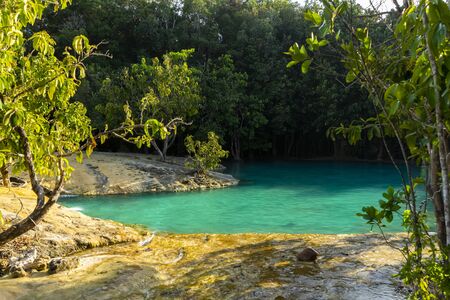 Amazing nature, Green water in the forest. Krabi, Thailand.の写真素材
