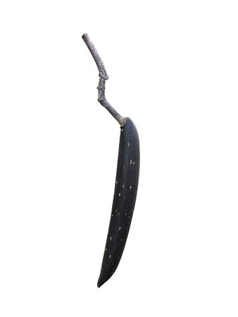 Close up Black sheath of Frangipani flower or Pagoda tree (scientific name Plumeria) isolate on...