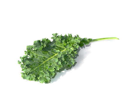 Close up yellow flower of Bitter Cucumber, Bitter Gourd, Carilla Fruit (Momordica charantia) with leaf on white backgroundの写真素材