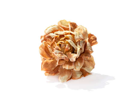 Close up of dry jasmine flower on white background.の写真素材