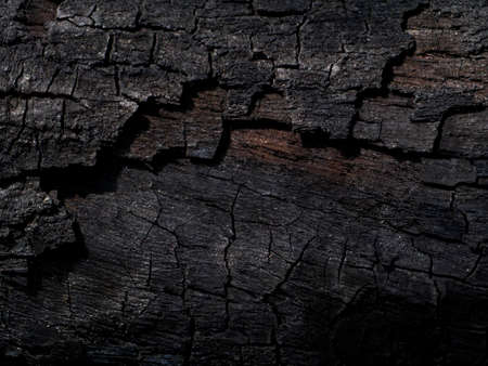 Details on the surface of charcoal.の写真素材