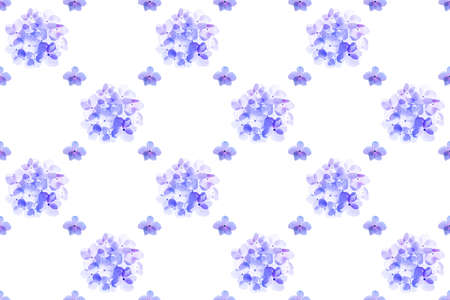 Pattern image of Hydrengea flower on white background.