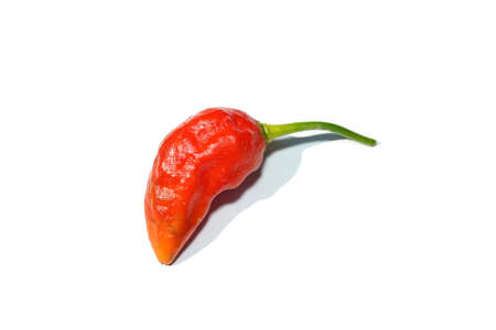 Close up Bhut Jolokia chili on white background with soft shadow. (Scientific name Capsicum chinense)の写真素材