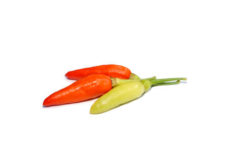Close up Yellow and orange Chili, Chilli Pepper on white background. (Scientific name Capsicum frutescens)の写真素材