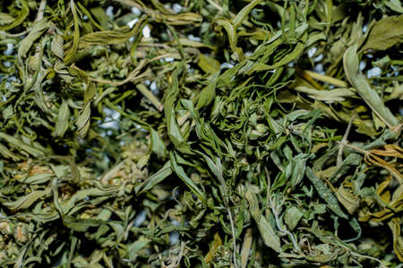 Dried cannabis for making tea. (Scientific name Cannabis sativa indica)の写真素材