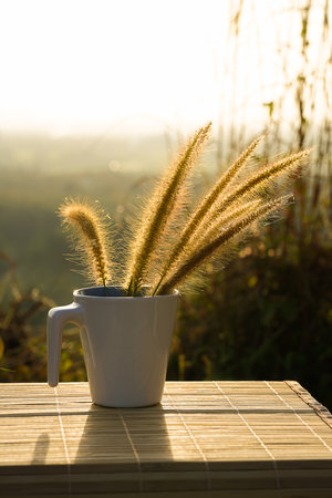 Flower grass in a cup with blur backgroundの写真素材