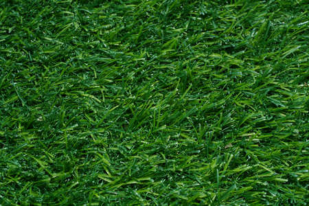 Close up artificial grass backgroud.の写真素材