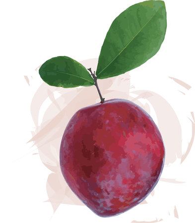 Abstract image of Plum fruit with leaf on soft color. (Scientific name Prunus domestica.)のイラスト素材