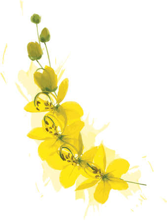 Abstract of Pudding Pine or Golden Shower on soft yellow spread background. (Scientific name Cassia fistula)のイラスト素材