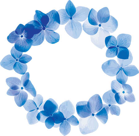 Abstract the circle of blue Hydrengea flower. (Scientific name Hydrangea macrophylla (Thunb.) Ser)のイラスト素材