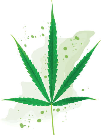 Abstract Marijuana leaves on color paint background.のイラスト素材