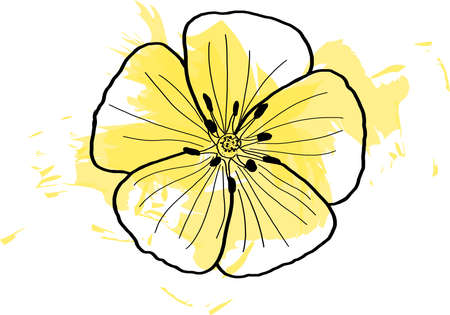 Black line flowers of Tribulus terrestris plant with color spread on white background.のイラスト素材