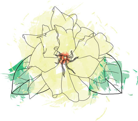 Abstract black line of White Gerdenia or Cape jasmine flower with color spread background.のイラスト素材