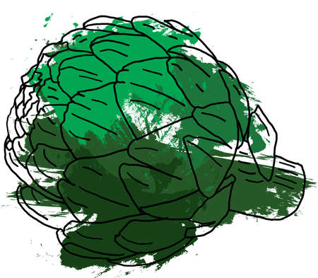 Abstract line of Artichoke green globe with color paint on white background.のイラスト素材