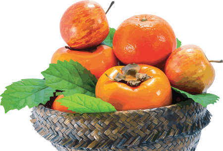 Abstract of Orange, apple and persimmon in the papyrus basket on white background.のイラスト素材