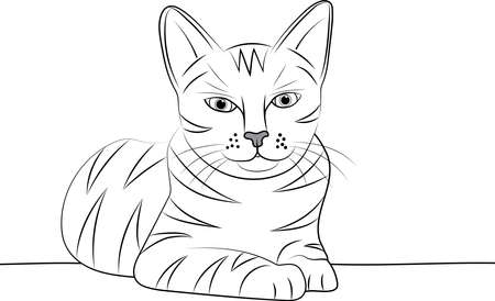 Abstract line of cat are looking with empty background.のイラスト素材