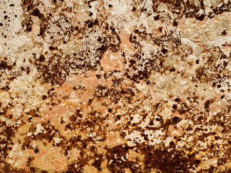 Rust patterns on the surface of the deteriorated industrial metal.