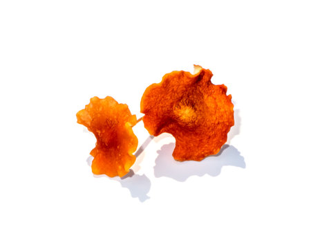 Close up brown Fungus plant on white background.の写真素材