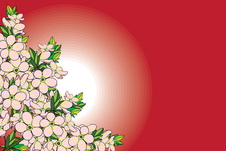 Illustration of the cherry bossoms flower bouquet with circle on red background.のイラスト素材