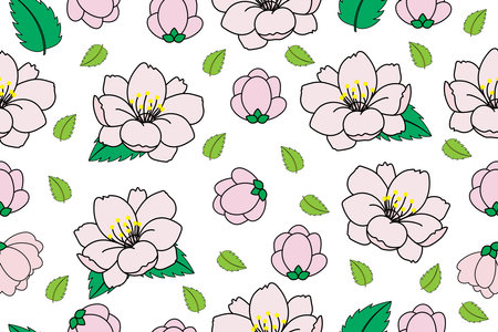 Illustration of the cherry bossoms flower on empty background.のイラスト素材