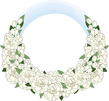 Illustration of white jasmine flower with leaves on blue circle background.のイラスト素材