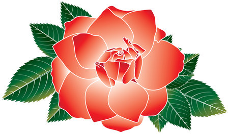 Illustration of red rose flower with leaves on white background.のイラスト素材