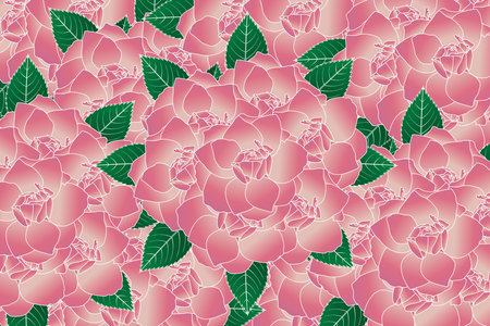 Illustration bouquet of pink rose flower with leaves background.の写真素材