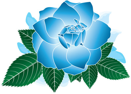 Illustration of blue rose flower with leaves on white background.のイラスト素材