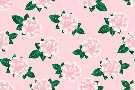 Illustration of pink rose flower with leaves on pink background.のイラスト素材
