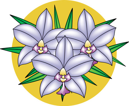 Illustration of orchid flower bouquet with leaves on yellow circle background.の写真素材
