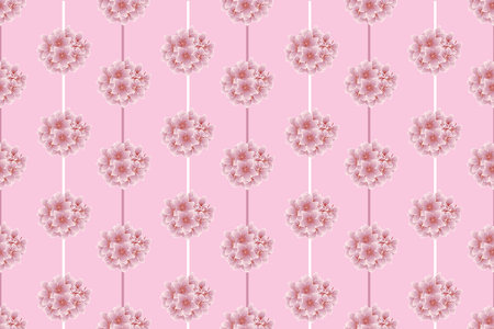 Illustration of pink frangipani flower with line on soft pink background.の写真素材