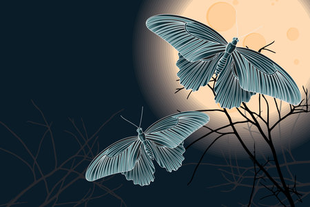 Illustration of the butterfly and silhouette branch with full moon on dark blue color background.のイラスト素材