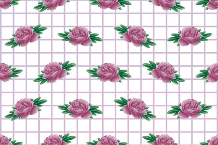Illustration of Peony flower with leaf on pink table background.のイラスト素材