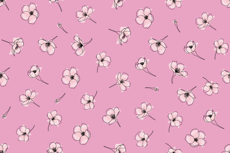 Illustration of the cherry blossoms flower on pink background.のイラスト素材