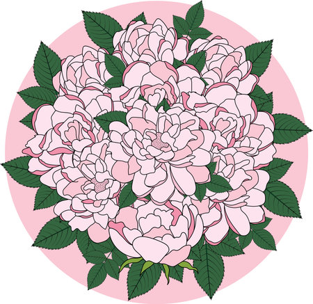 Illustration bouquet of pink rose flower with leaves on pink circle background.のイラスト素材