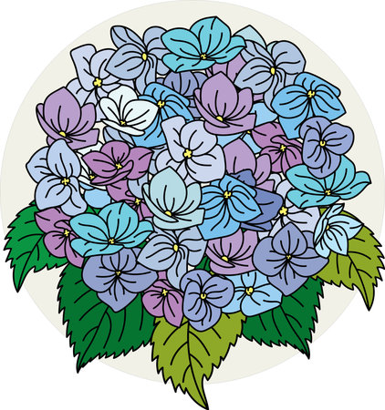 Illustration bouquet of the Hydrengea flower with leaves on cream color circle background.のイラスト素材