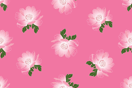 Illustration of Peony flower with leaf on pink background.のイラスト素材