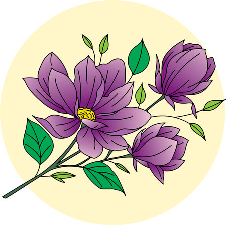 Illustration of magnolia flower with leaf on soft yellow circle background.のイラスト素材