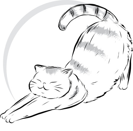 Illustration of cat doing exercise with circle on empty background.のイラスト素材