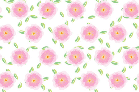 Illustration of pink rose flower with leaves on white backgroundのイラスト素材