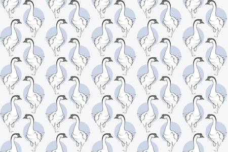 illustration pattern of Goose standing one leg with circle color background.のイラスト素材