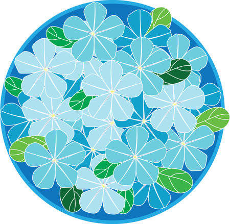 Illustration of Blue Cape leadwort flower on blue circle background.のイラスト素材