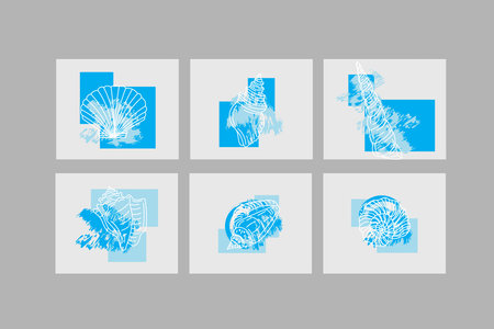 Illustration line of Shell with blue color on grey background.のイラスト素材