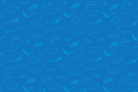 illustration blue line of the ocean animal with blue background.のイラスト素材