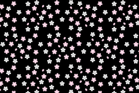 Illustration, Abstract sakura flower on black background.のイラスト素材