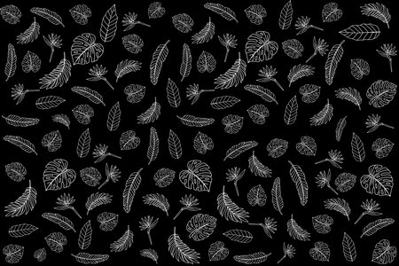 Abstract line of leaves on black background.のイラスト素材