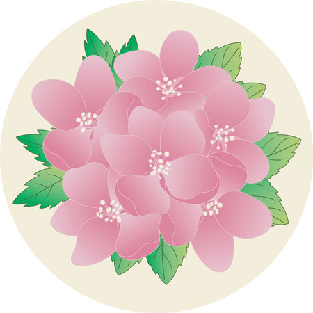 Illustration, cherry blossom flower on soft yellow background.のイラスト素材