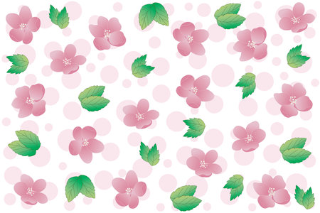 Illustration, wallpaper of cherry blossom flower with leaf and circle on white background.のイラスト素材