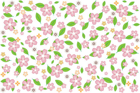 Illustration, pattern of sakura flower and leaf on white background.のイラスト素材