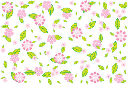 Illustration, pattern abstract of sakura flower and leaves falling on white background.のイラスト素材